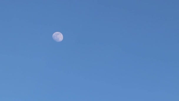 Luna Cielo Azul Entre Las Nubes Flotando Través Del Cielo — Vídeos de Stock