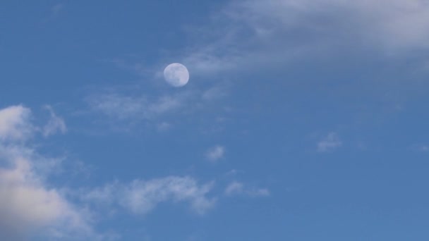 Månen Den Blå Himlen Bland Molnen Som Svävar Över Himlen — Stockvideo