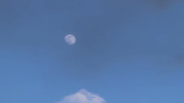 Місяць Блакитному Небі Серед Хмар Пливуть Небу Відео — стокове відео
