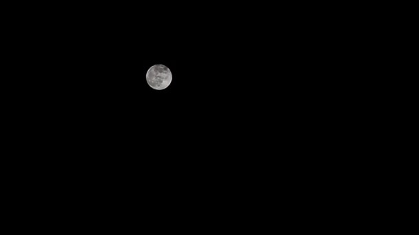 Luna Solitaria Nel Cielo Notturno Nero — Video Stock