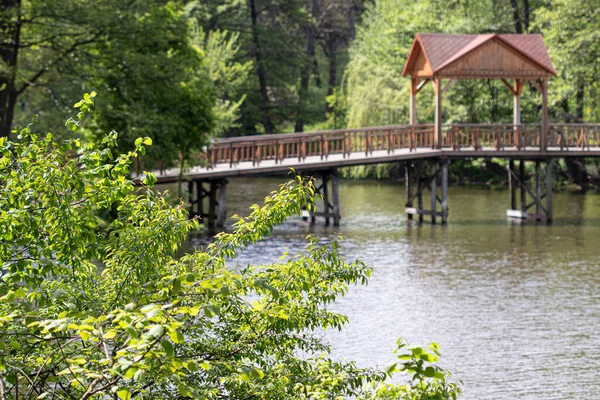Most Dla Pieszych Nad Jeziorem Krajobraz Wiosennego Lasu Pobliżu Jeziora — Zdjęcie stockowe