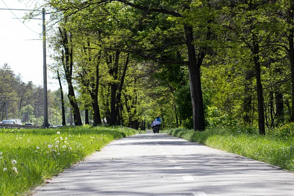 Cycle path along which people ride a bike. People ride their bicycles on the bike path.