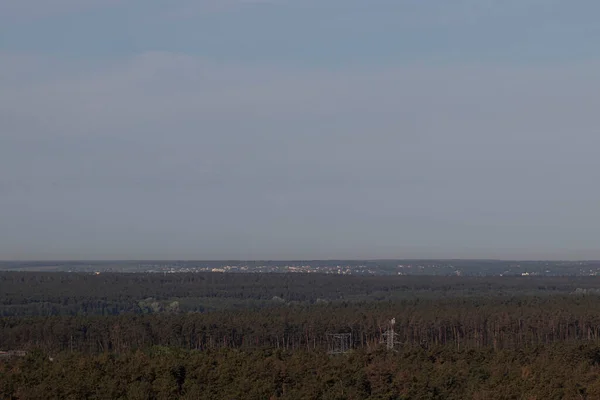 Vue Aérienne Forêt Horizon Forêt Verte Ciel Bleu — Photo