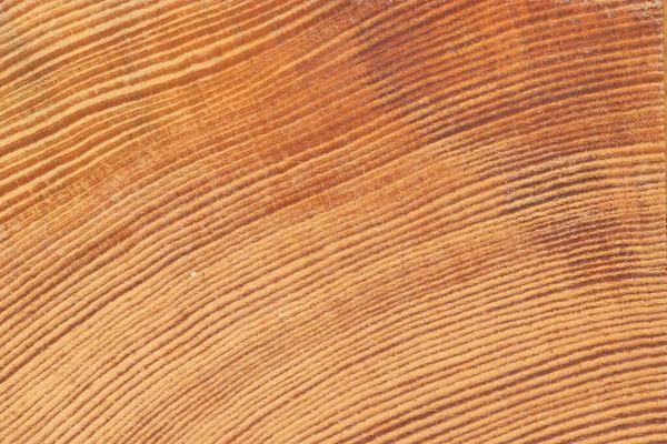 Dennenboom Gesneden Textuur Lichte Houttextuur Van Dichtbij — Stockfoto