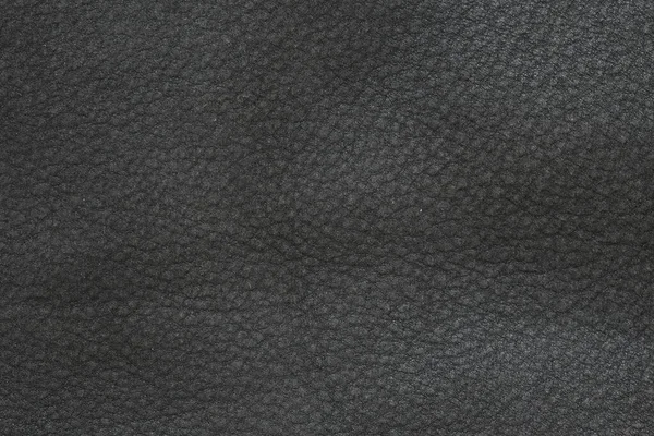 Texture Cuir Noir Partie Veste Texture Veste Cuir — Photo