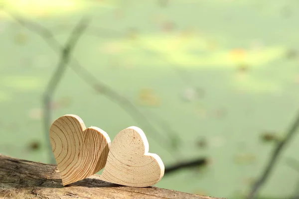 Holzherz Vor Dem Hintergrund Der Natur Herz Auf Dem Grünen — Stockfoto