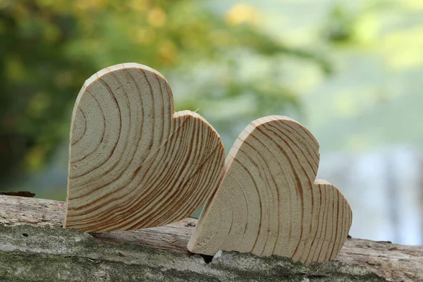 Holzherz Vor Dem Hintergrund Der Natur Herz Auf Dem Grünen — Stockfoto