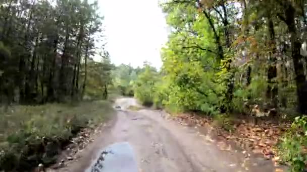 Jazda Rowerze Leśnej Drodze Droga Leśna — Wideo stockowe
