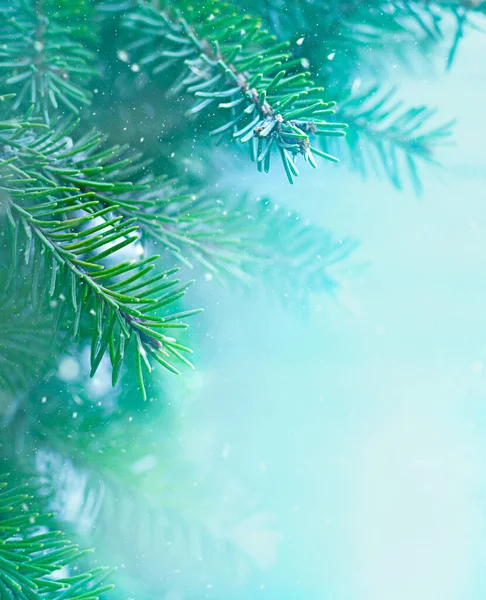 Fundo Natal Borrado Com Ramo Abeto Azul Verde — Fotografia de Stock