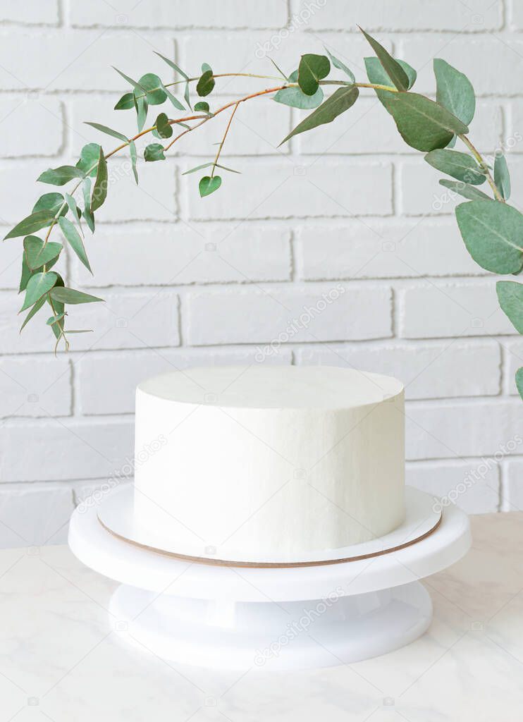 white cake without decor on a stand under a sprig of eucalyptus. cake with copy space.