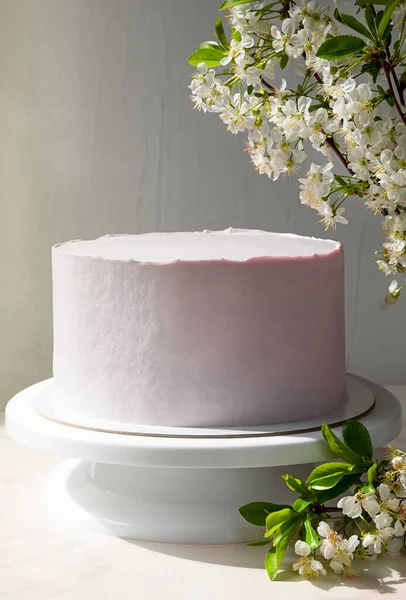 Pastel Rosado Soporte Con Ramas Flores Cerezo Bajo Los Rayos — Foto de Stock