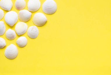 lots of shells on a yellow background with a copy space.