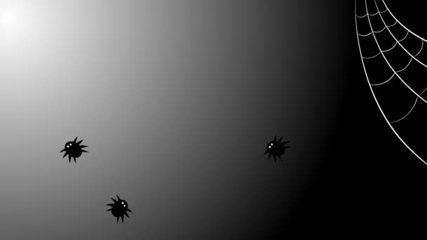 Many small black spiders crawling on a dark background with white spider webs — 비디오