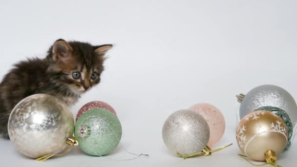 Kleine Kätzchen spielen mit Weihnachtskugeln — Stockvideo