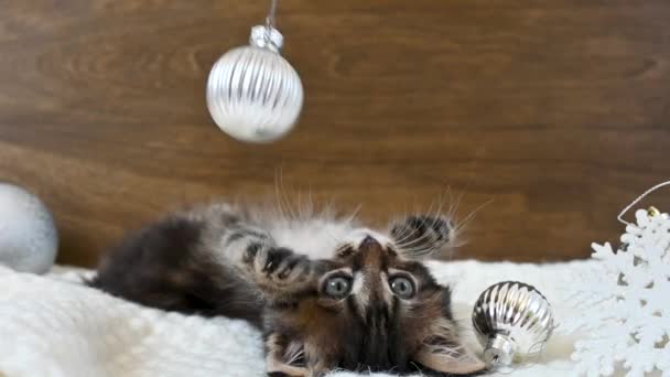 小さな子猫は嘘をつき、クリスマスボールで遊ぶ — ストック動画