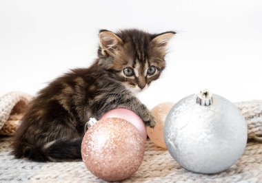 Küçük kedi yavrusu oturur ve Noel toplarıyla oynar
