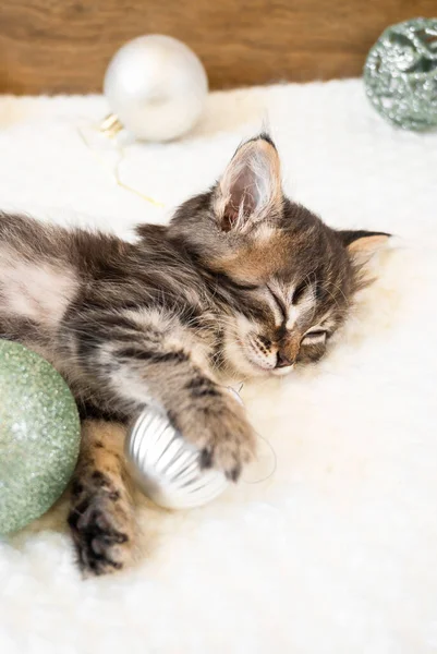 Küçük kedi yavrusu Noel toplarıyla beyaz yumuşak bir battaniyede uyur. — Stok fotoğraf