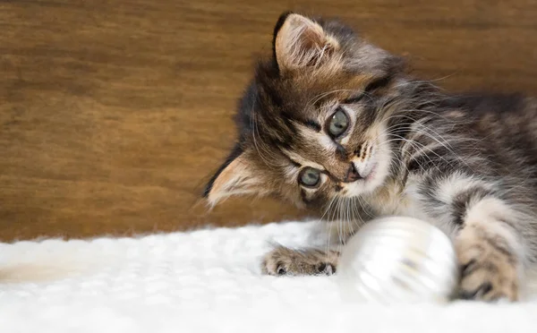 Küçük kedi yavrusu yalan söyler ve Noel toplarıyla oynar — Stok fotoğraf