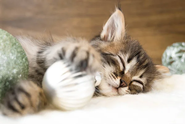 Small kitten sleep on a white soft blanket with Christmas balls — Stock Photo, Image