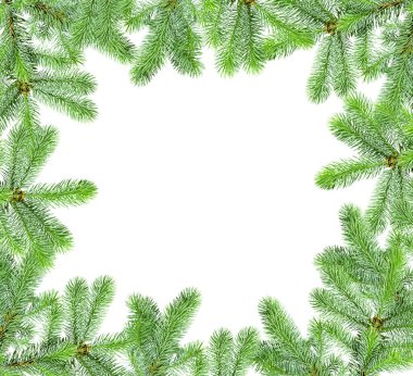Noel ağacı dallarının çerçevesi beyaz bir arkaplanda bir kopya alanı ile izole edilmiş