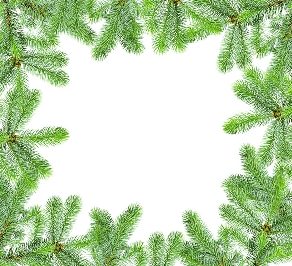 Frame of Christmas tree branches isolated on a white background with a copy space — Stock Photo, Image