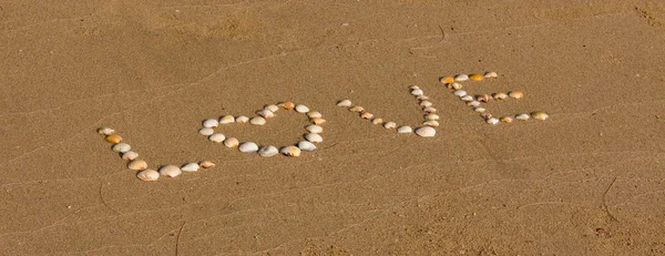 Palavra amor feito de conchas do mar na areia — Fotografia de Stock