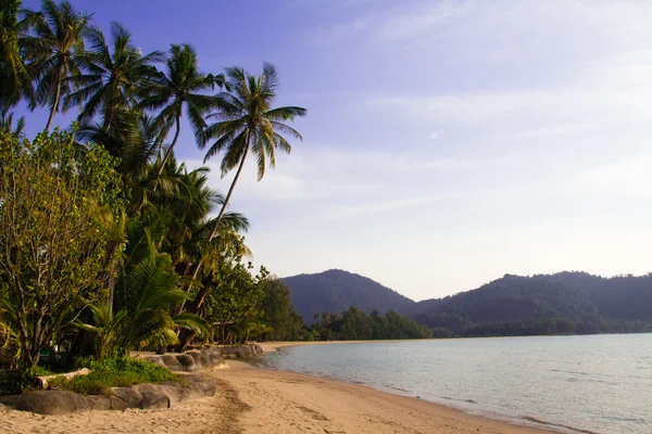 Mooie tropische eiland strand landschap, verse groene palmbomen, reizen en toerisme concept — Stockfoto