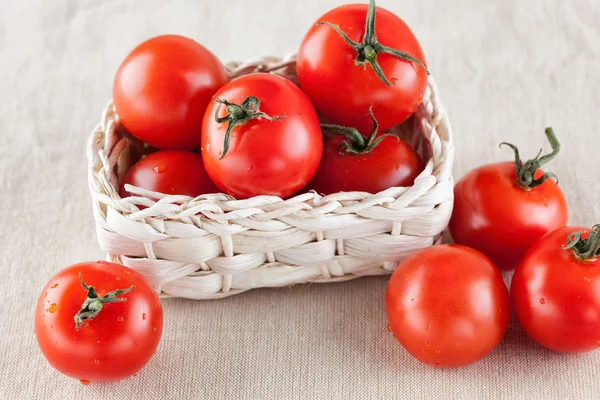 Fresh organic tomatoes in a basket — Stock Photo, Image