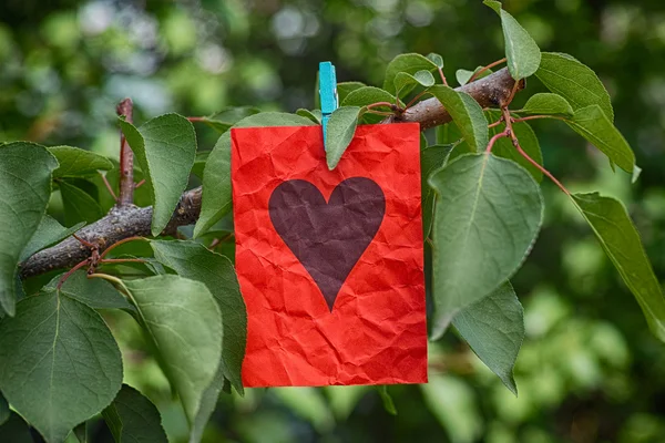 Κόκκινο χαρτί Σημείωση με σχήμα καρδιάς που κρέμεται ένα δέντρο — Φωτογραφία Αρχείου