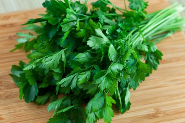 taze yeşil maydanoz