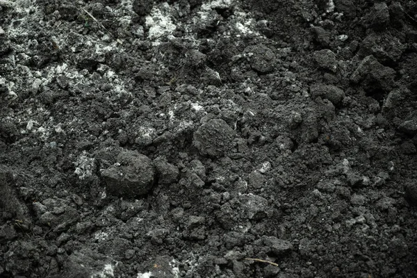 Soil Background Close — Stock Photo, Image