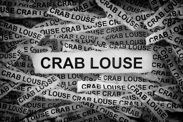 세상에 Crab Louse 단어와 종이를 부었습니다 클로즈업 — 스톡 사진