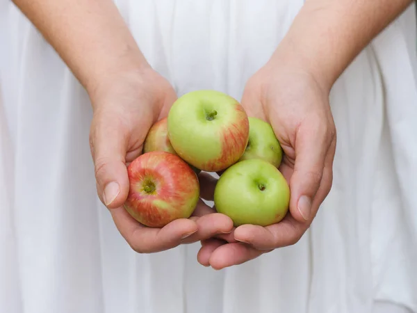 Une Femme Tenant Des Pommes Bio Dans Ses Mains Gros — Photo