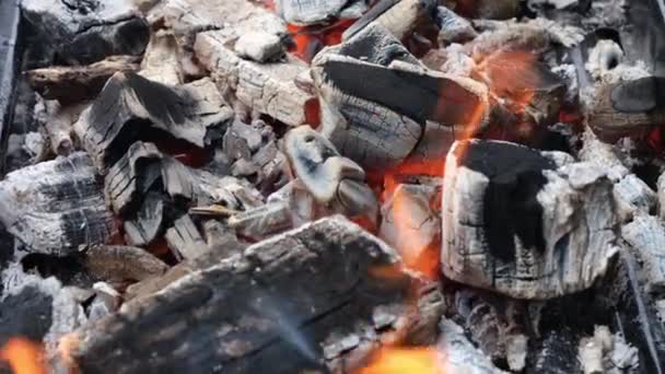 Houtskool Verbranden Een Barbecue — Stockvideo