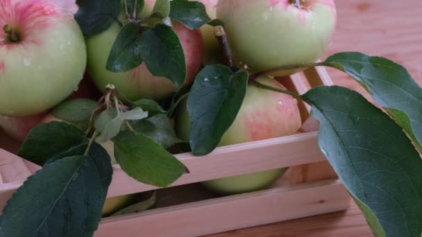 小木箱中的有机苹果 上面有水滴 — 图库视频影像