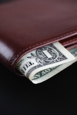 1 dolar ile cüzdan