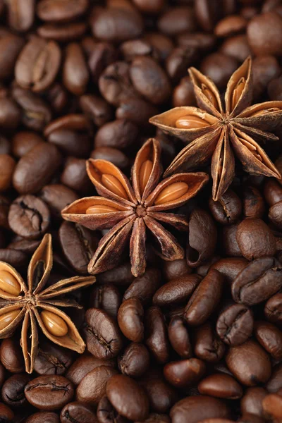Star anise and coffee beans — Stock Photo, Image