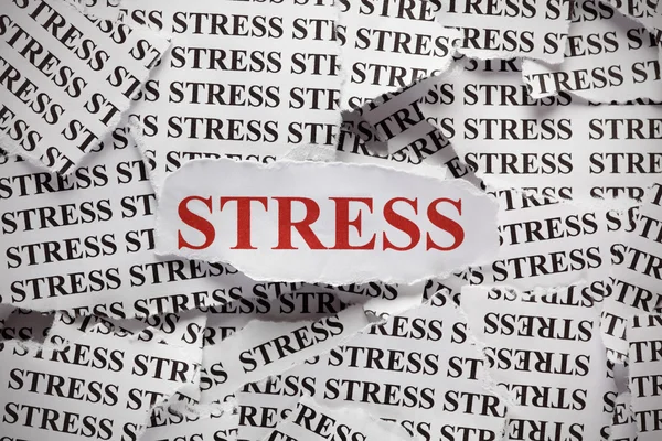 Stress — Stock Photo, Image