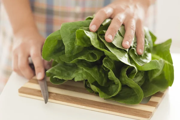 Salată verde în bucătărie — Fotografie, imagine de stoc