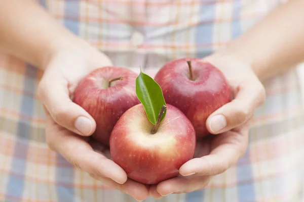 Äpfel in der Hand — Stockfoto