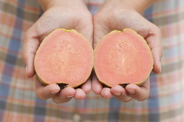 Sliced guava fruit in woman's hands — Stock Photo, Image