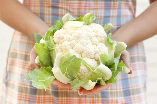 Cauliflower in woman's hands — Stock Photo, Image