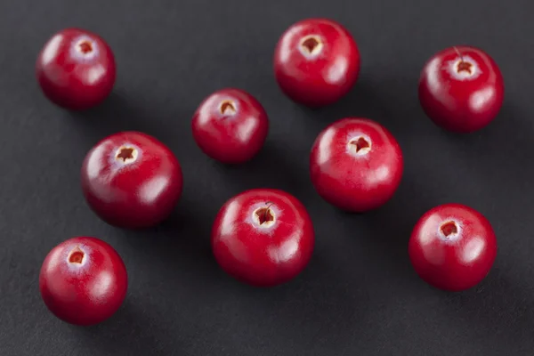 Cranberry — Stock Photo, Image