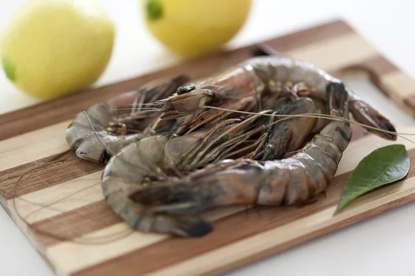 Raw Shrimps — Stock Photo, Image