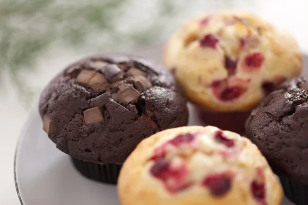 Muffins — Stockfoto