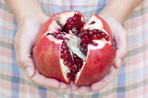 Open pomegranate in woman's hands. — Stock Photo, Image