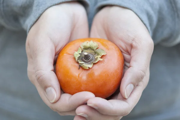 Persimmon i kvindens hænder - Stock-foto