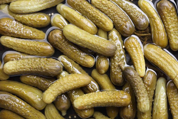 Pickled gherkins — Stock Photo, Image