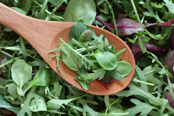 Mistura de saladas verdes em uma colher de madeira — Fotografia de Stock