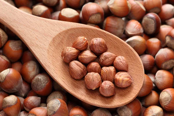 Hazelnoten in een houten lepel — Stockfoto